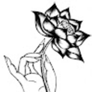 Meet your Posher, Liên hoa